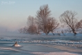 075_Biebrza - marzec 2013